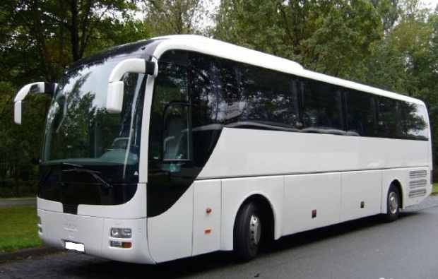Scania bus 50